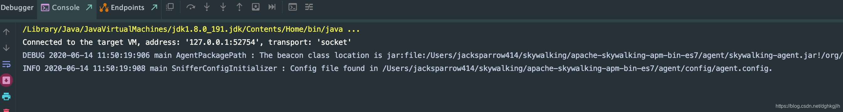 Application startup logs showing SkyWalking agent configuration loading