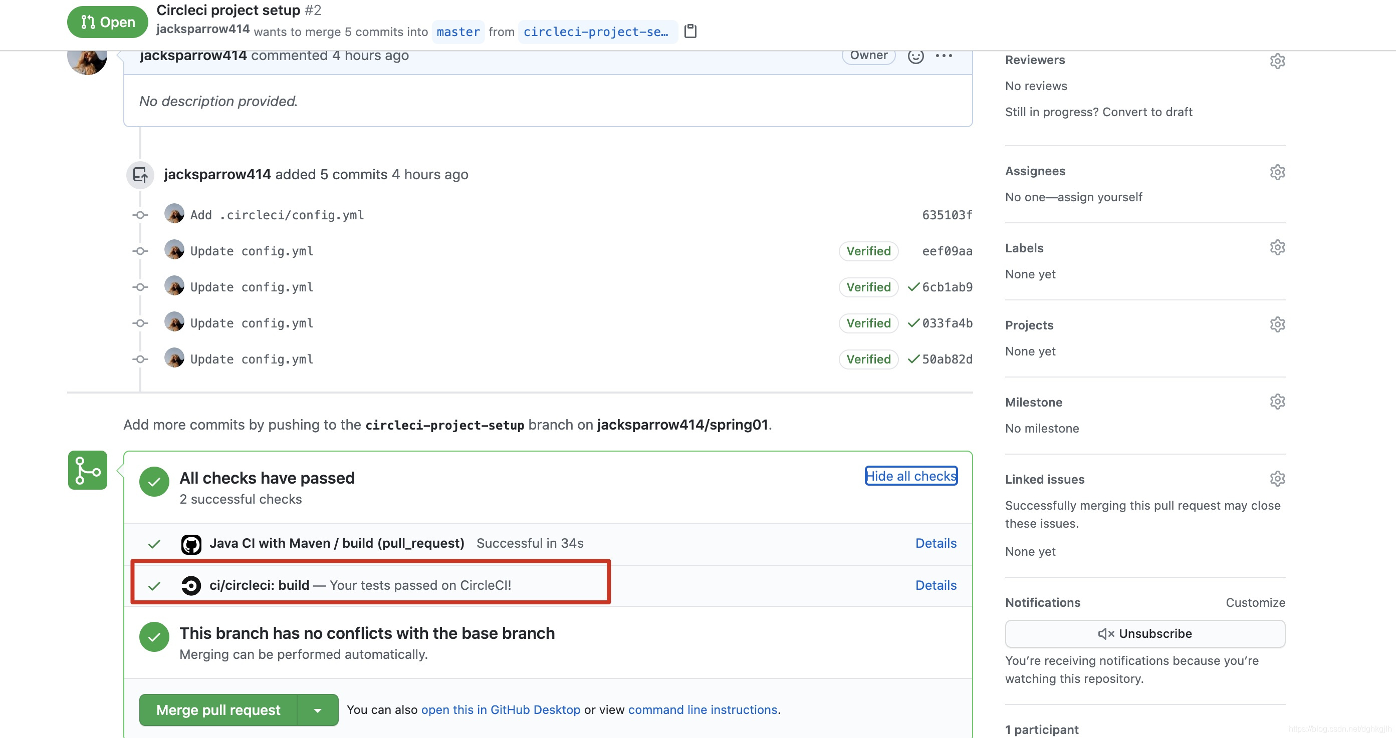 GitHub PR page showing passing CircleCI checks