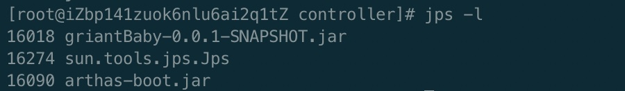 jps -l 输出中的 Java 进程 ID 与启动类或 JAR