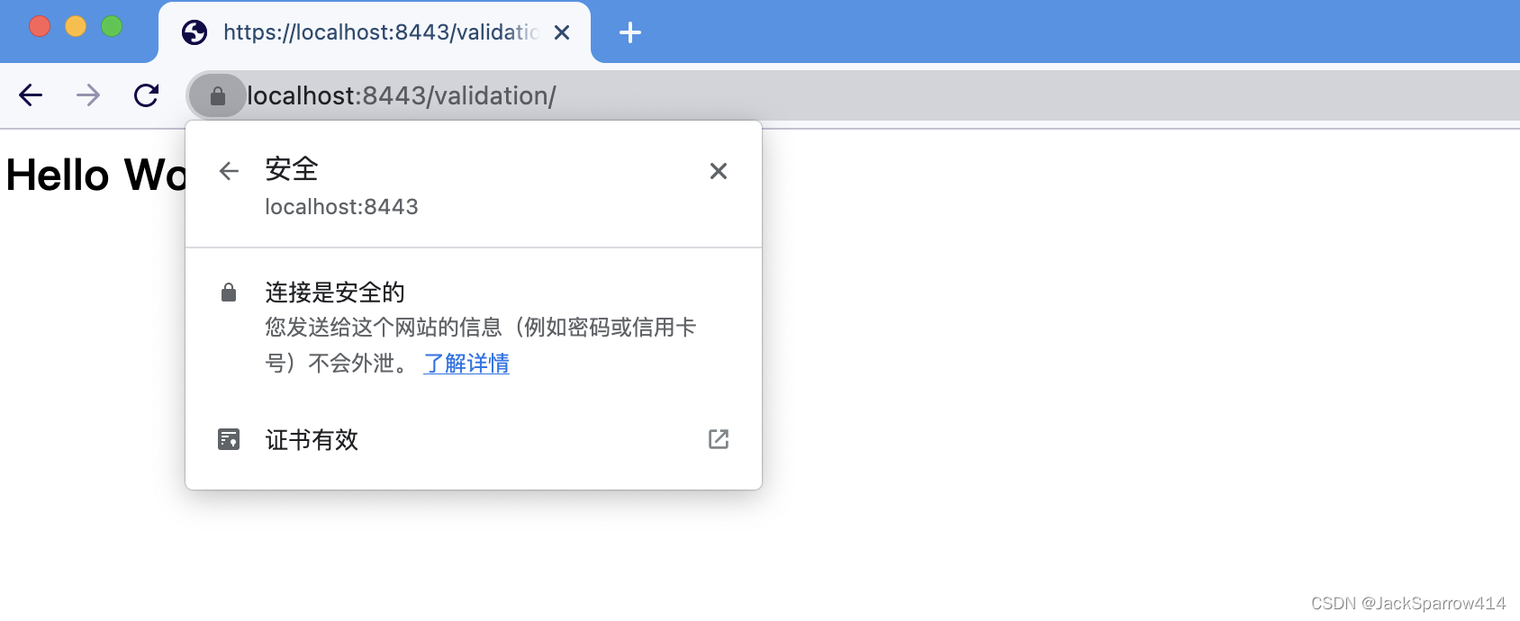 浏览器访问本地 HTTPS 页面并显示安全连接信息