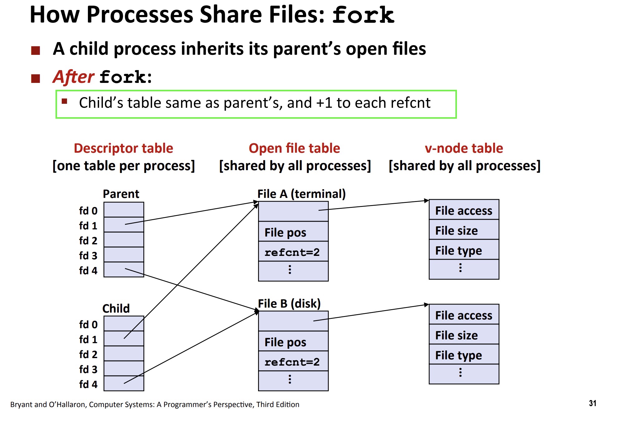 fork 后父子进程的文件描述符共享打开文件表项,引用计数增加